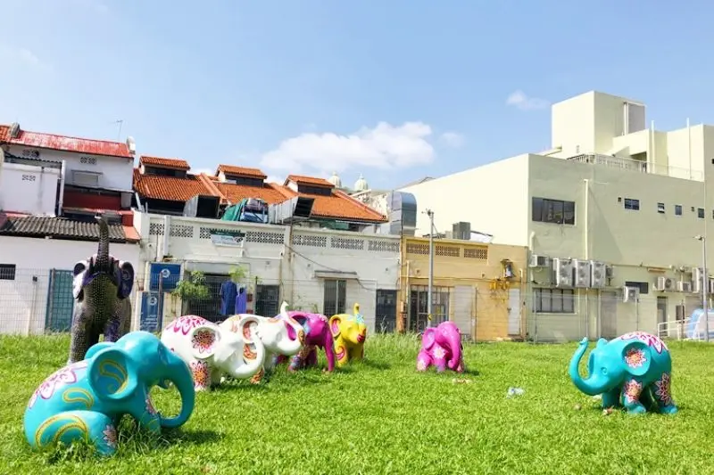 Little India, khu phố Ấn Độ đa sắc màu níu chân du khách Singapore 6