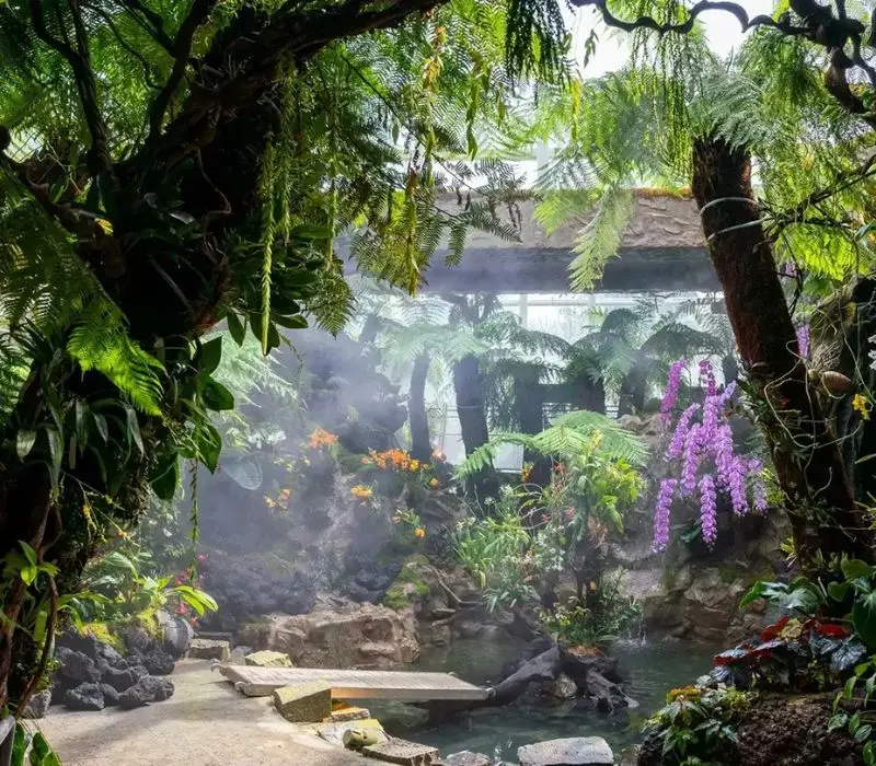 Lạc vào Vườn lan Singapore đẹp tựa tiên cảnh chốn nhân gian