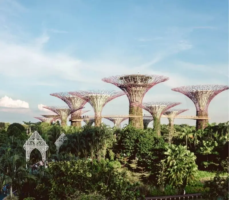 Du lịch Singapore 4 ngày 3 đêm: Lịch trình chinh phục đảo quốc sư tử