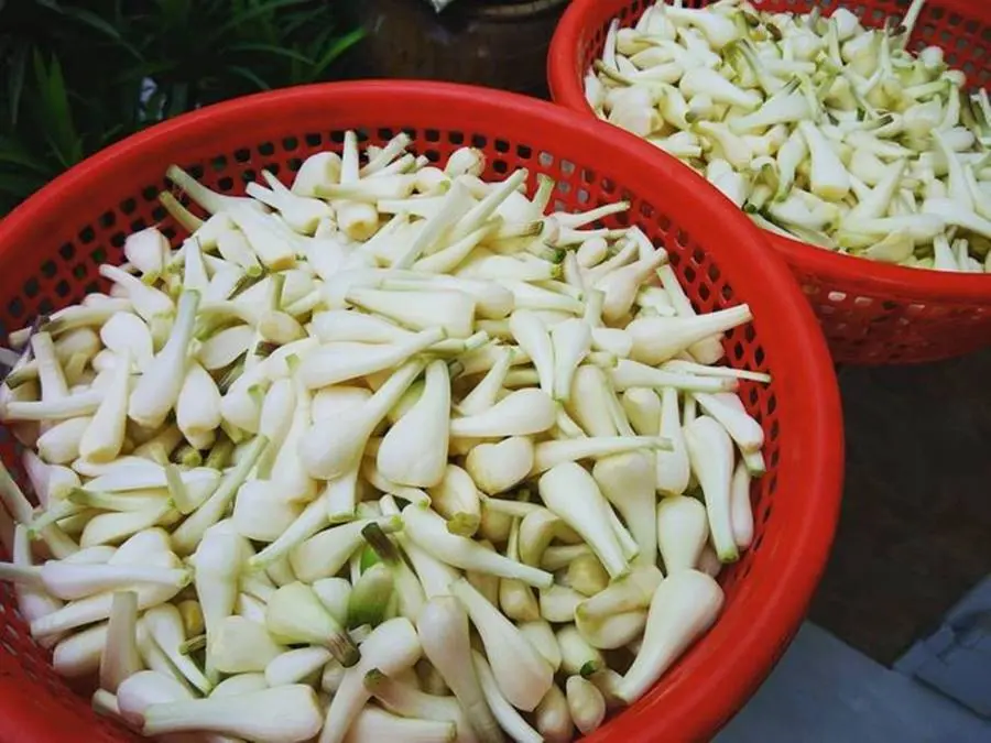 Dưa kiệu đường Sóc Trăng, món ngon không thể thiếu trong ngày Tết 4