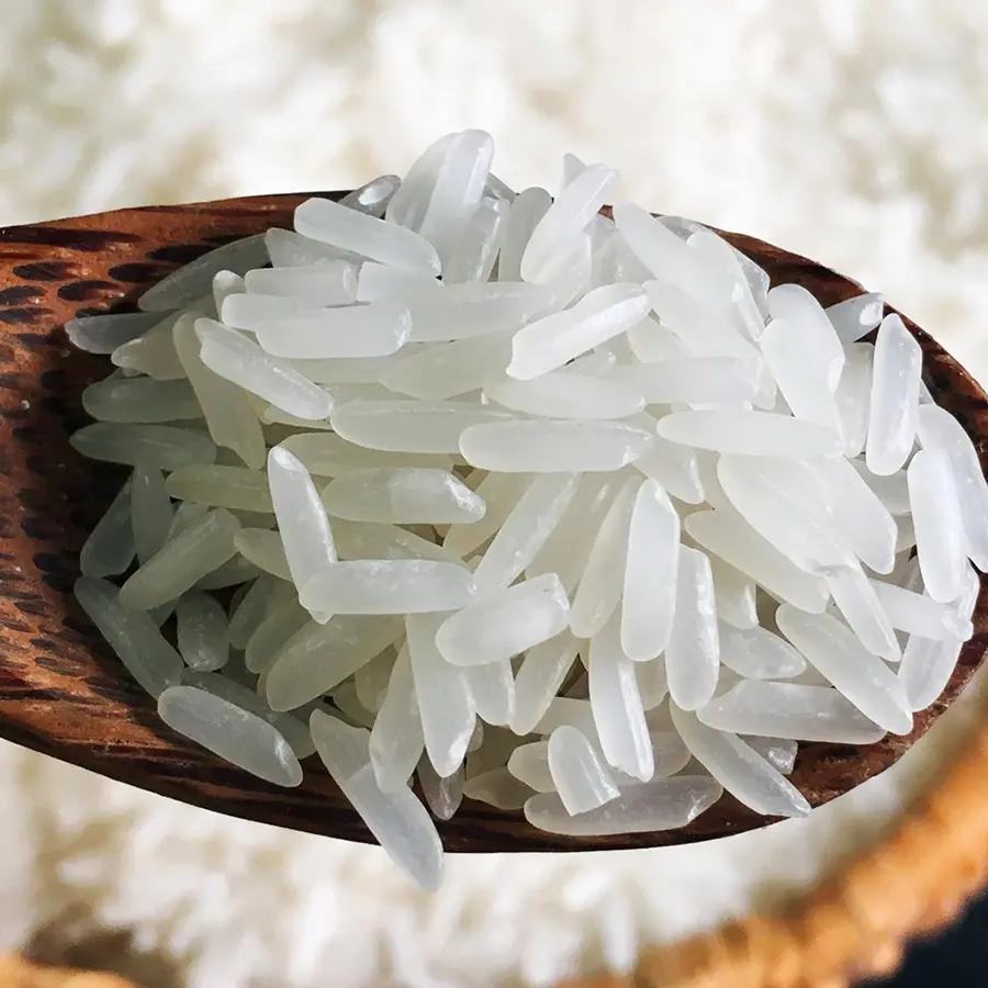 Gạo thơm ST S&oacute;c Trăng, m&oacute;n qu&agrave; thượng hạng từ miền T&acirc;y Nam Bộ 4