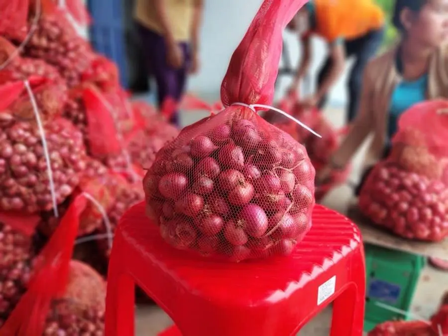 H&agrave;nh t&iacute;m Vĩnh Ch&acirc;u, n&ocirc;ng sản nổi tiếng của tỉnh S&oacute;c Trăng 5