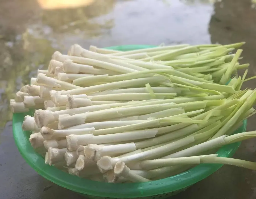 Hương vị Dưa bồn bồn S&oacute;c Trăng giữa ng&agrave;y mưa nặng hạt 2