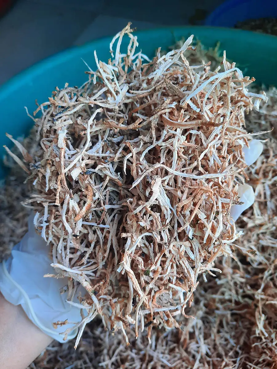 Tr&agrave; M&atilde;ng Cầu Cẩm Thiều Ng&atilde; Năm với hương vị thanh m&aacute;t, đậm đ&agrave; 3