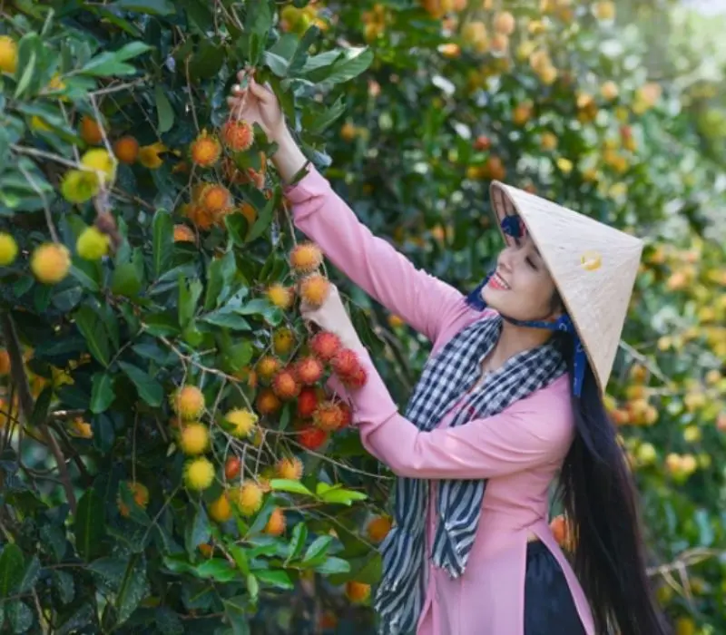 Cồn Mỹ Phước, khu du lịch miệt vườn tuyệt đẹp giữa l&ograve;ng S&oacute;c Trăng 7