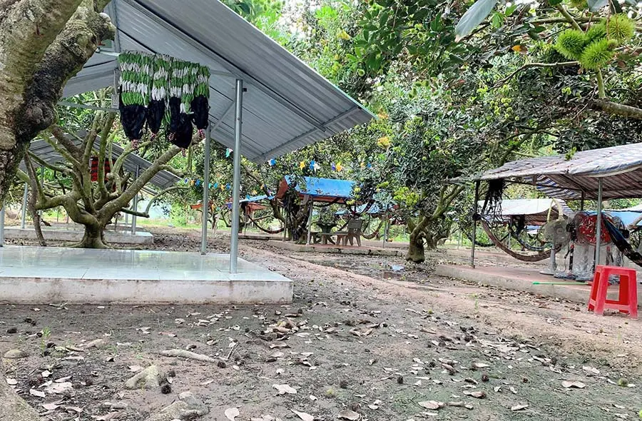 Điểm danh c&aacute;c vườn tr&aacute;i c&acirc;y T&acirc;y Ninh nổi tiếng cho hội m&ecirc; x&ecirc; dịch 6