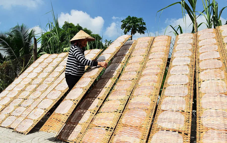 L&agrave;ng nghề b&aacute;nh tr&aacute;ng Trảng B&agrave;ng, n&eacute;t đẹp truyền thống của người d&acirc;n Nam Bộ 2