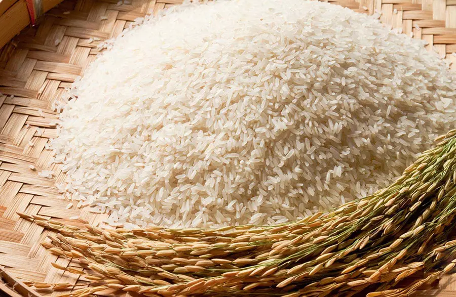 L&agrave;ng nghề b&aacute;nh tr&aacute;ng Trảng B&agrave;ng, n&eacute;t đẹp truyền thống của người d&acirc;n Nam Bộ 4