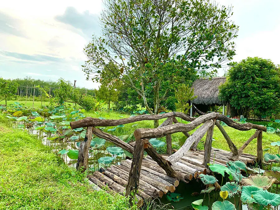 Vườn tr&aacute;i c&acirc;y 8 H&ograve;a, địa điểm du lịch sinh th&aacute;i kh&ocirc;ng thể bỏ qua 5
