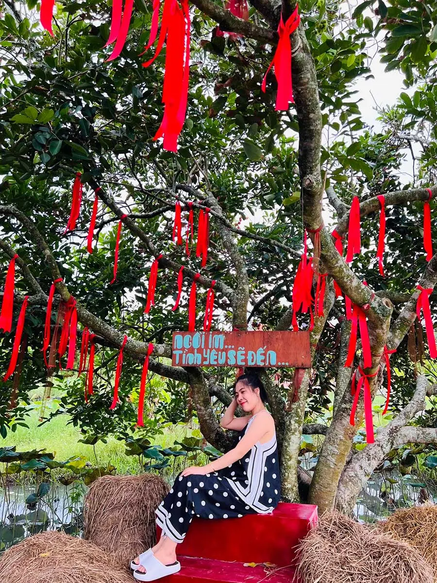 Vườn tr&aacute;i c&acirc;y 8 H&ograve;a, địa điểm du lịch sinh th&aacute;i kh&ocirc;ng thể bỏ qua 9