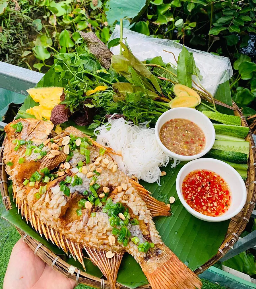 Vườn tr&aacute;i c&acirc;y 8 H&ograve;a, địa điểm du lịch sinh th&aacute;i kh&ocirc;ng thể bỏ qua 14
