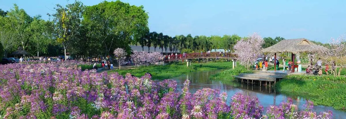 Ghé thăm Thủy hoa viên Tây Ninh với ngàn góc sống ảo triệu like