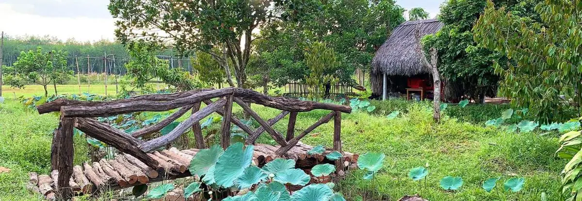 Vườn trái cây 8 Hòa, địa điểm du lịch sinh thái không thể bỏ qua