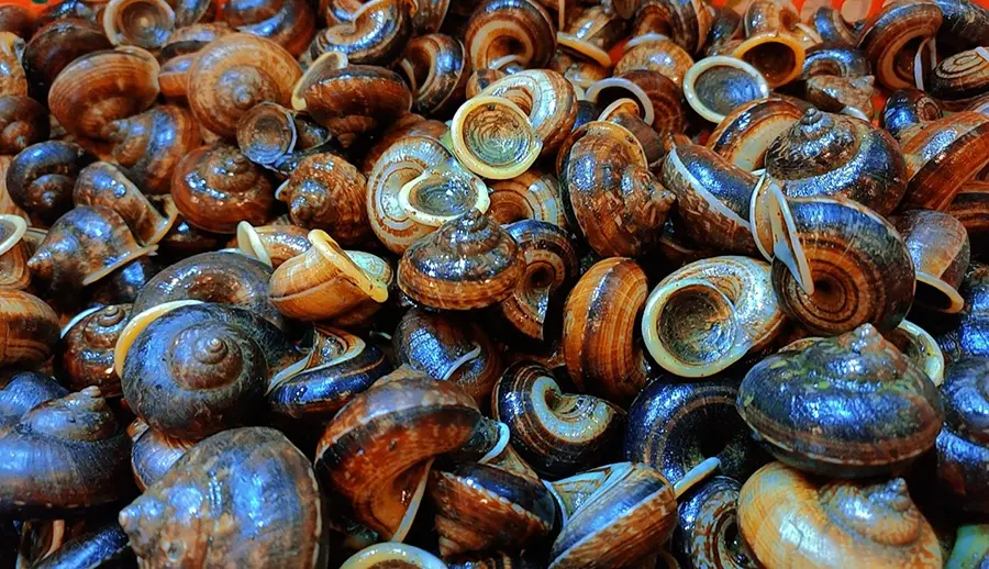 Hải sản Lưới Biển, tọa độ nạp vitamin sea cho t&iacute;n đồ ẩm thực 11