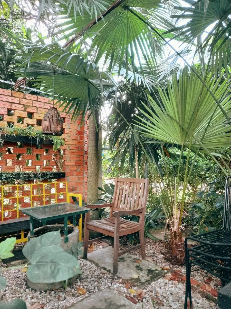 Kh&aacute;m ph&aacute; Green Cafe T&acirc;y Ninh với kh&ocirc;ng gian xanh cực chill 2