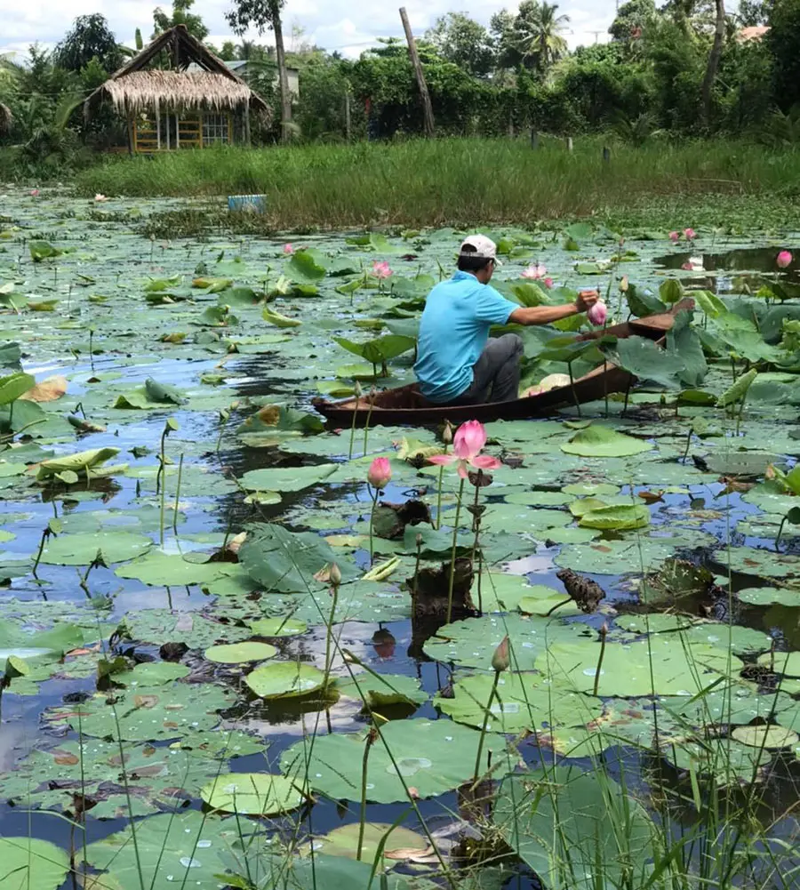 Qu&aacute;n ăn Ao C&aacute; T&acirc;y Ninh, độc đ&aacute;o l&agrave;ng nổi ẩm thực v&ugrave;ng Nam Bộ 4