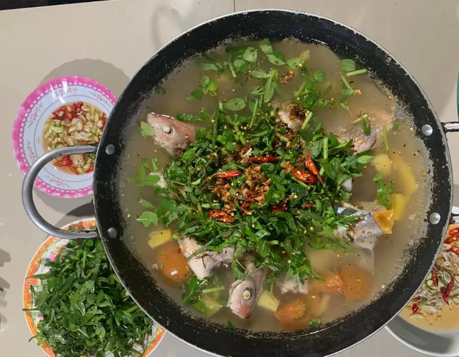 Thử ăn m&oacute;n Lẩu c&aacute; A Dũn thơm ngon nức tiếng ở T&acirc;y Ninh 4