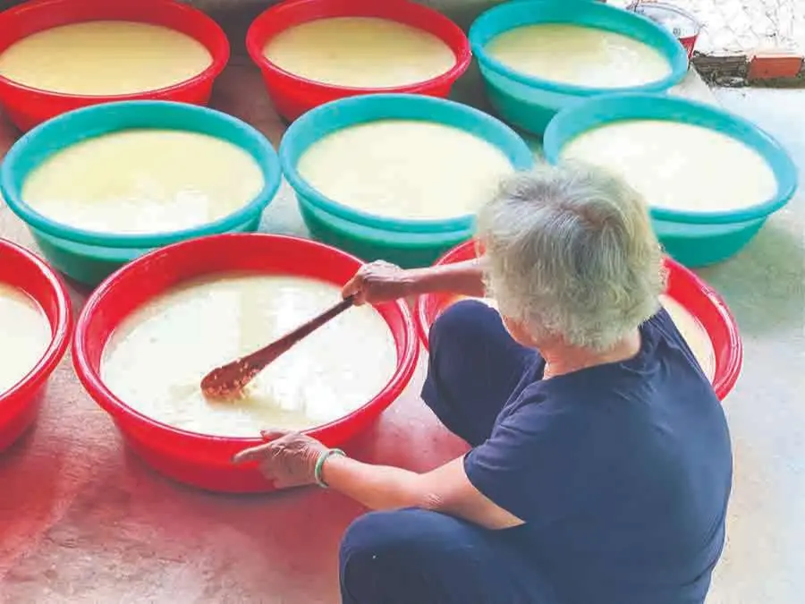 Thưởng thức B&aacute;nh &uacute; l&aacute; tre T&acirc;y Ninh với hương vị đậm chất Nam Bộ 4