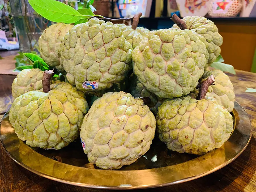 Thưởng thức Mãng cầu Tây Ninh, đặc sản nức tiếng gần xa 5