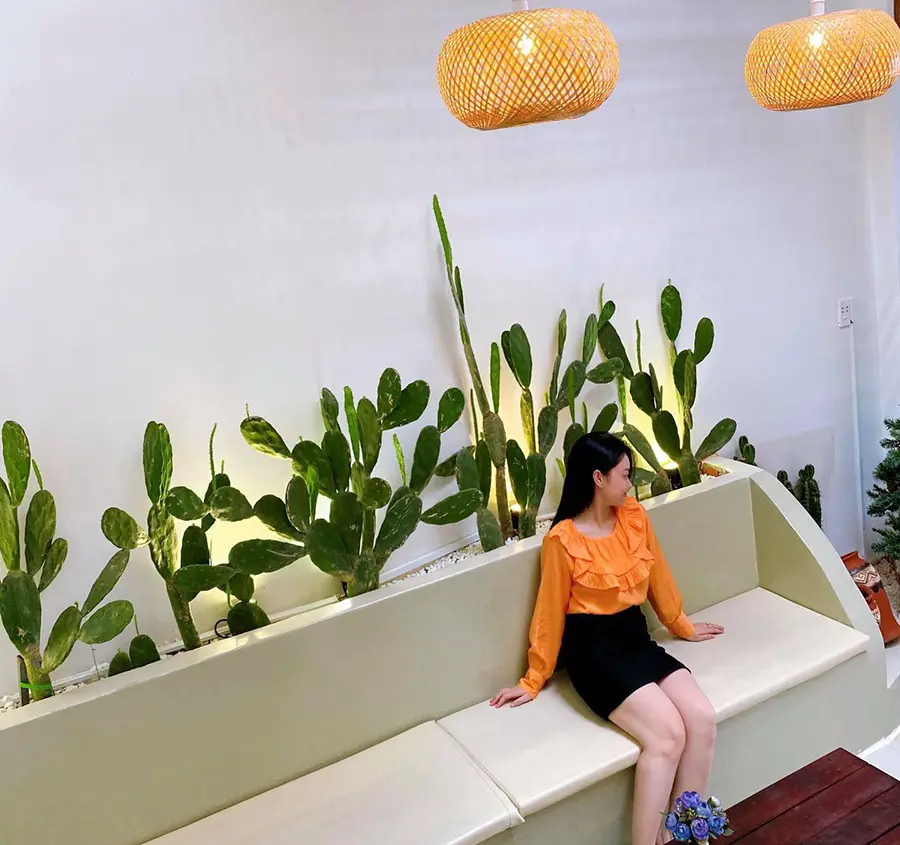 Tiệm cà phê Domini, chốn thư giãn bình yên giữa phố núi Tây Ninh 4