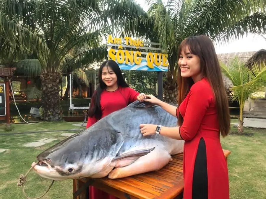 Top qu&aacute;n ăn ẩm thực sinh th&aacute;i tại T&acirc;y Ninh bạn n&ecirc;n gh&eacute; thử một lần 3