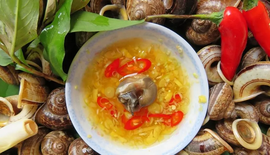 Thưởng thức ốc xu núi Bà mang hương vị của thảo mộc quý hiếm