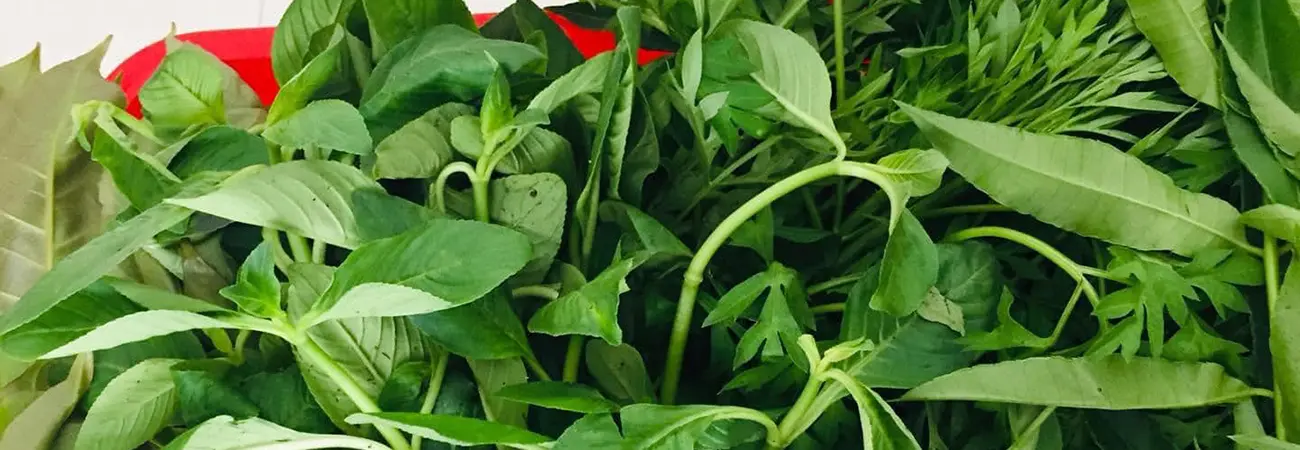 Thưởng thức Rau rừng Tây Ninh với hương vị dân dã khó quên