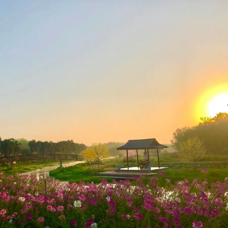 Check in T&acirc;y Ninh sao c&oacute; thể bỏ qua Thủy Hoa Vi&ecirc;n đẹp m&ecirc; hồn người 6