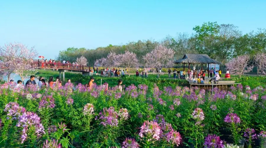 Check in T&acirc;y Ninh sao c&oacute; thể bỏ qua Thủy Hoa Vi&ecirc;n đẹp m&ecirc; hồn người 4