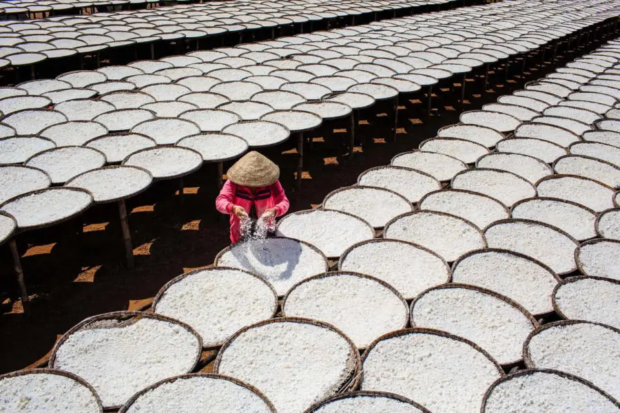Lang thang T&acirc;y Ninh kh&aacute;m ph&aacute; vẻ đẹp thanh b&igrave;nh của miền qu&ecirc; đầy nắng gi&oacute; 10