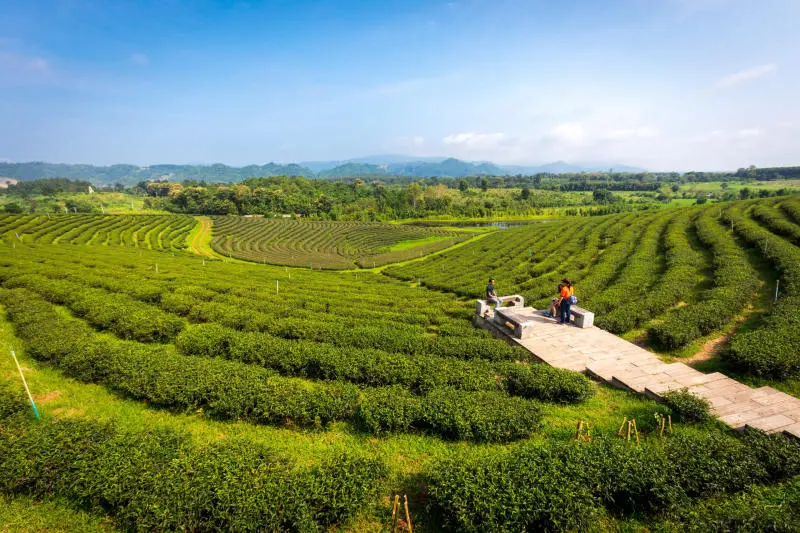 Bỏ t&uacute;i kinh nghiệm du lịch Chiang Mai Tết Nguy&ecirc;n Đ&aacute;n n&agrave;y 9