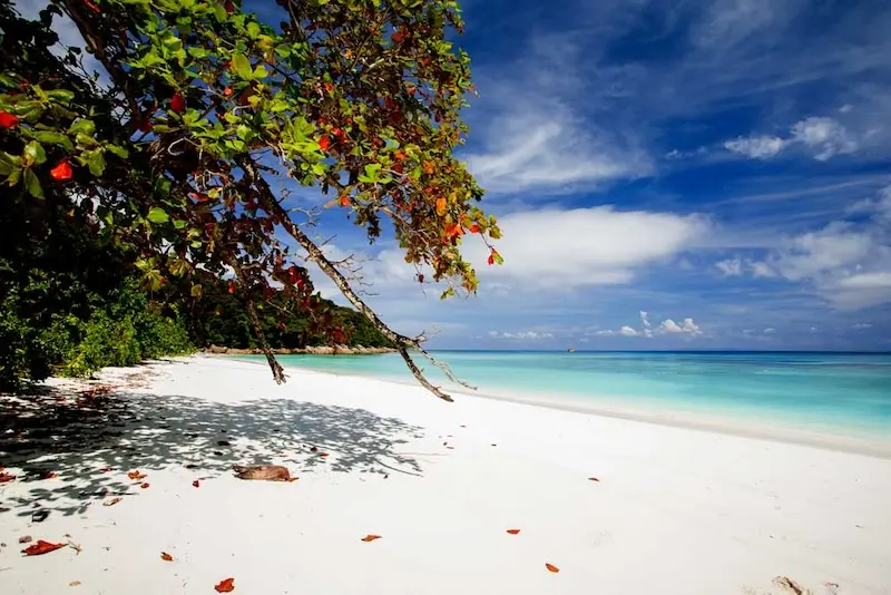 Koh Similan, thiên đường chốn hạ giới ngoài khơi Thái Lan 6