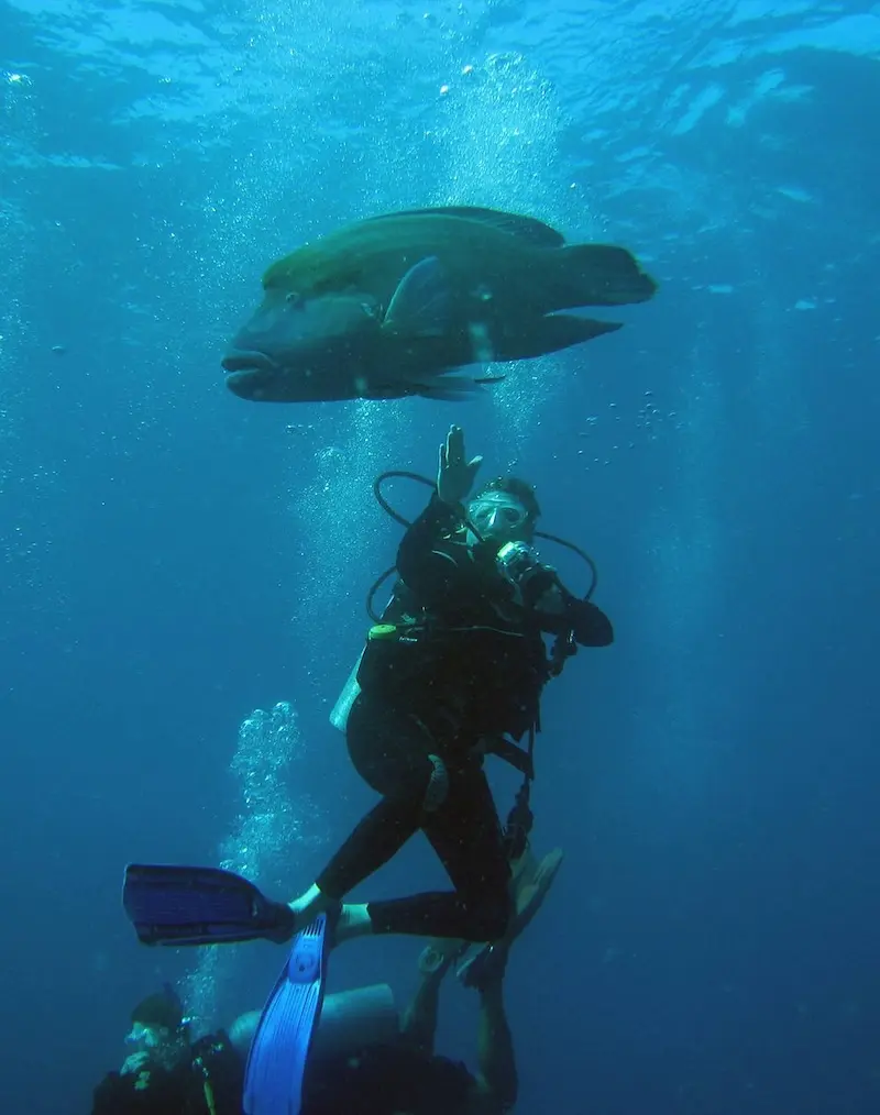 Koh Similan, thiên đường chốn hạ giới ngoài khơi Thái Lan 12