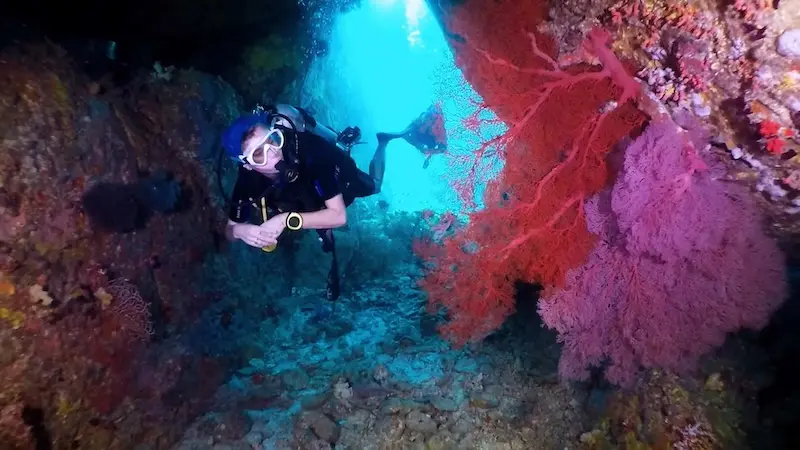 Koh Similan, thiên đường chốn hạ giới ngoài khơi Thái Lan 14
