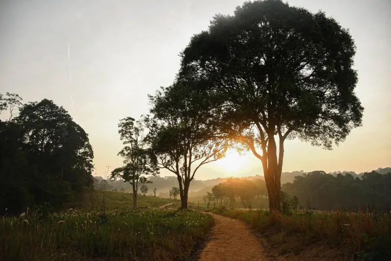 Review Khao Yai, công viên quốc gia lớn thứ 3 Thái Lan 2