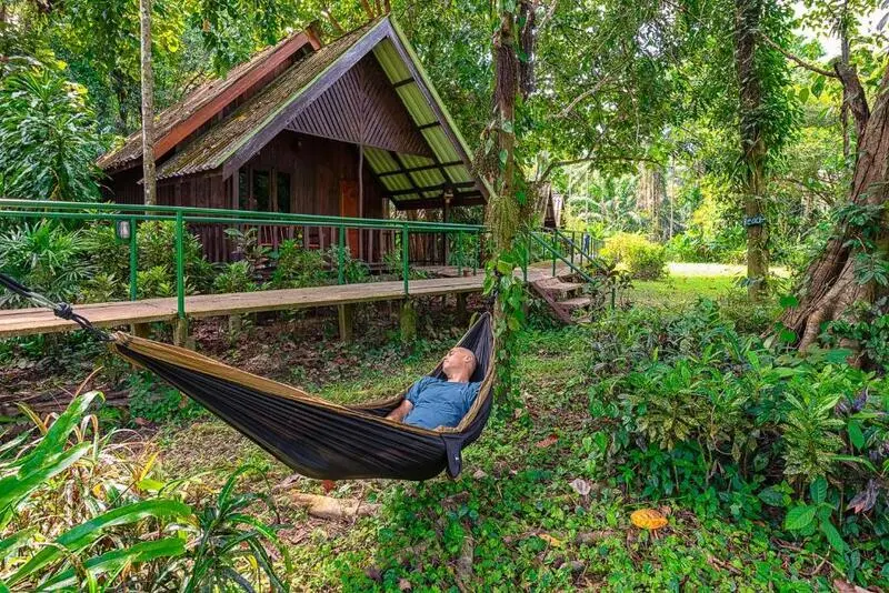 Vườn quốc gia Khao Sok ti&ecirc;n cảnh giữa những ngọn n&uacute;i đ&aacute; v&ocirc;i Th&aacute;i Lan 5