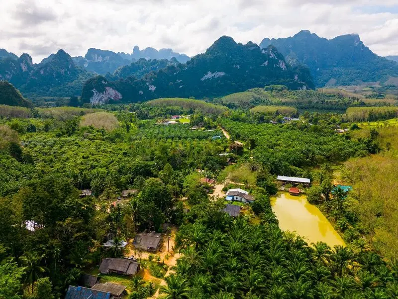Vườn quốc gia Khao Sok ti&ecirc;n cảnh giữa những ngọn n&uacute;i đ&aacute; v&ocirc;i Th&aacute;i Lan 7