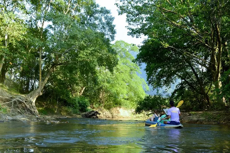 Vườn quốc gia Khao Sok ti&ecirc;n cảnh giữa những ngọn n&uacute;i đ&aacute; v&ocirc;i Th&aacute;i Lan 10