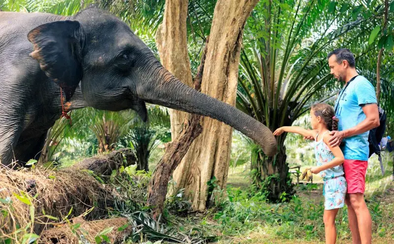 Vườn quốc gia Khao Sok ti&ecirc;n cảnh giữa những ngọn n&uacute;i đ&aacute; v&ocirc;i Th&aacute;i Lan 8
