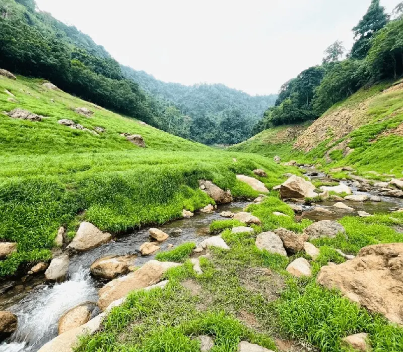 Khám phá Nakhon Nayok: Thiên nhiên xanh mát xứ chùa vàng