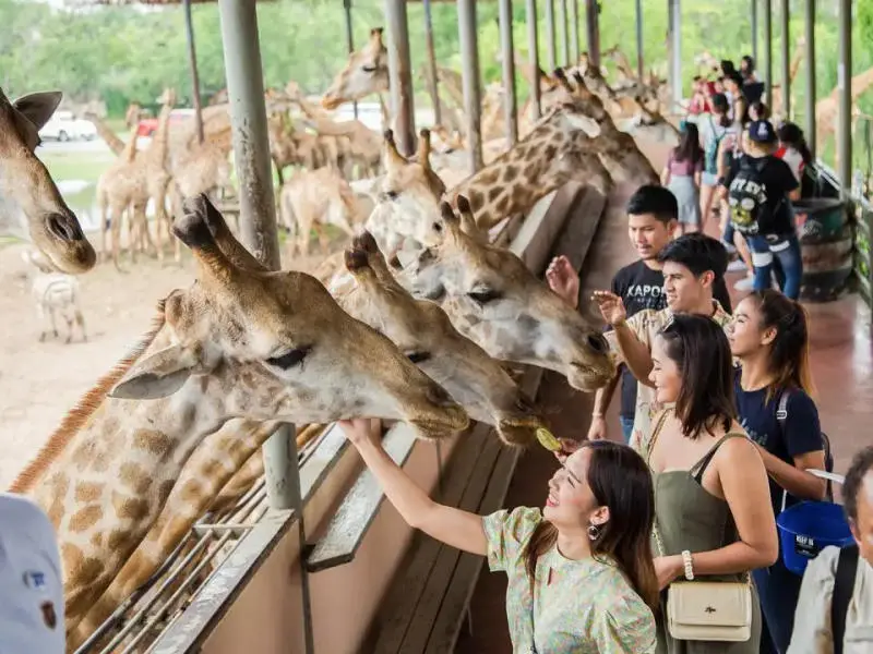 Kh&aacute;m ph&aacute; tour du lịch Th&aacute;i Lan 4 ng&agrave;y 3 đ&ecirc;m v&agrave; những trải nghiệm th&uacute; vị 16