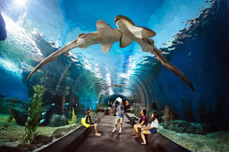 Tour du lịch Th&aacute;i Lan 3 ng&agrave;y 2 đ&ecirc;m si&ecirc;u hấp dẫn 11