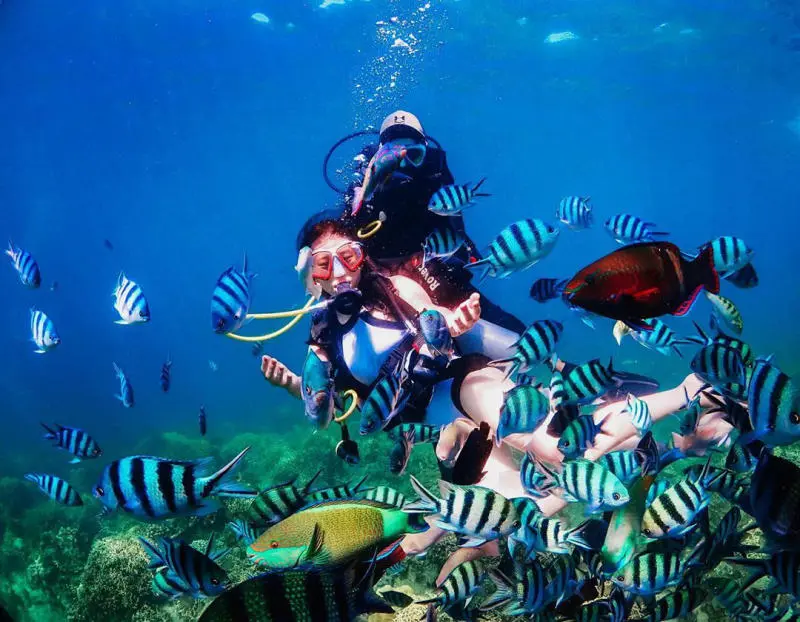 Tour Du lịch Th&aacute;i Lan 5 ng&agrave;y 4 đ&ecirc;m chi tiết nhất 7