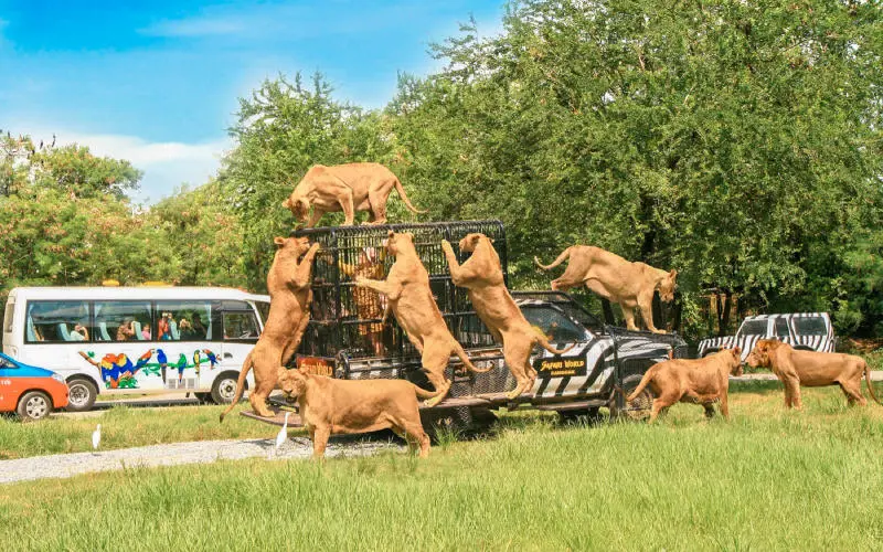 Tour Du lịch Th&aacute;i Lan 5 ng&agrave;y 4 đ&ecirc;m chi tiết nhất 13