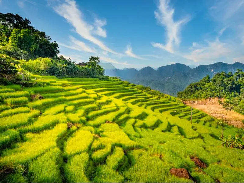 Kh&aacute;m ph&aacute; P&ugrave; Lu&ocirc;ng Thanh H&oacute;a với n&eacute;t đẹp b&igrave;nh y&ecirc;n, dung dị 2