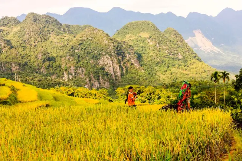 Kh&aacute;m ph&aacute; P&ugrave; Lu&ocirc;ng Thanh H&oacute;a với n&eacute;t đẹp b&igrave;nh y&ecirc;n, dung dị 3