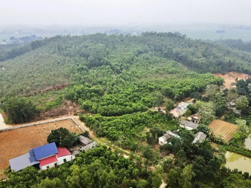 X&atilde; đảo Nghi Sơn v&agrave; những trải nghiệm du lịch kh&ocirc;ng thể bỏ qua 5
