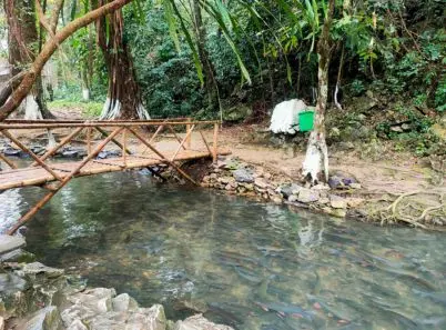 Khám phá Suối cá thần Thanh Hóa với bí ẩn thiên nhiên kỳ thú