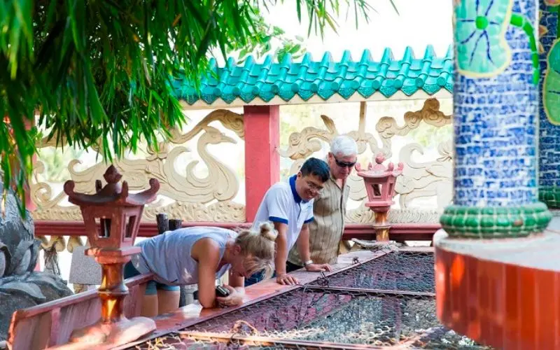 Có ngôi miếu nổi Gò Vấp bình yên giữa dòng sông Vàm Thuật 17