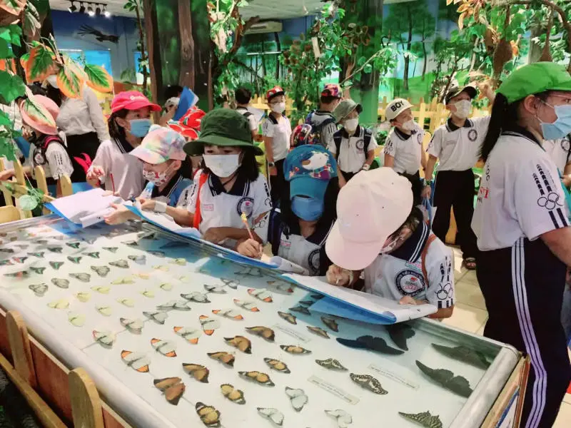 Đầm Sen Kh&ocirc;: Cập Nhật Gi&aacute; V&eacute; v&agrave; Hoạt Động Mới năm 2026 10
